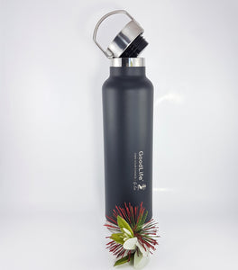 Stainless Steel 750ml Double Wall Drink Bottle