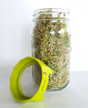 Load image into Gallery viewer, Sprouting Jar Lids