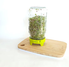Load image into Gallery viewer, Sprouting Jar Lids