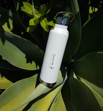 Load image into Gallery viewer, Stainless Steel 750ml Double Wall Drink Bottle