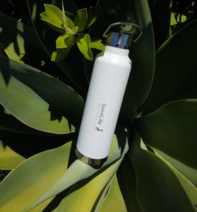 Stainless Steel 750ml Double Wall Drink Bottle