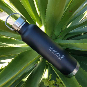 Stainless Steel 750ml Double Wall Drink Bottle