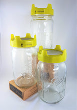 Load image into Gallery viewer, Sprouting Jar Lids