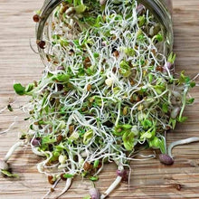 Load image into Gallery viewer, Sprouting Seeds - Spicy Mix 100grm