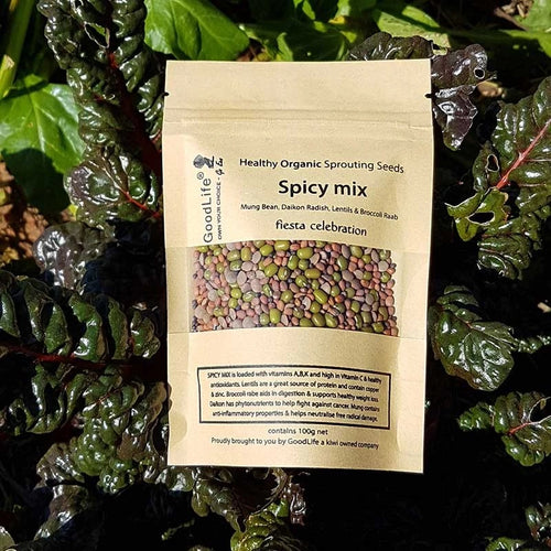 Sprouting Seeds - Spicy Mix 100grm