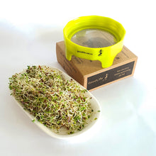Load image into Gallery viewer, Sprouting Jar Lids
